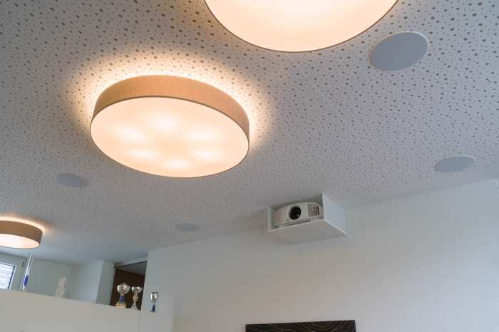 Sony Projektor VPL-VW360ES